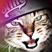 #AveBilly