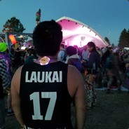 Laukai