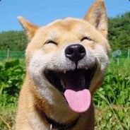 亏贼