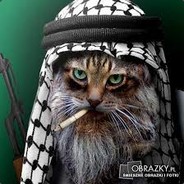 Brodacz_Palikot cs:go skins.com