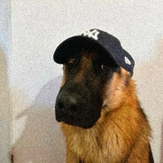 дог