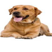00