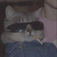 Дам в рот