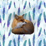 XoRr0
