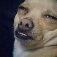 Quezzimoto
