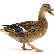 O meu nome é rebeca