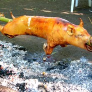 Got Adobo