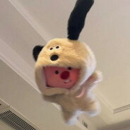LPB