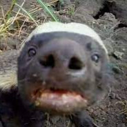 HahneBadger