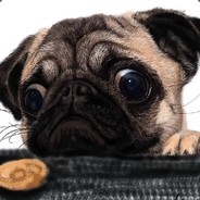405986044