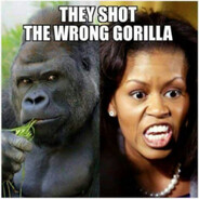 Vanilla Gorilla