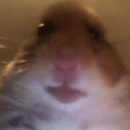 micalproscp
