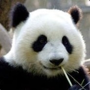 棋手 熊猫子