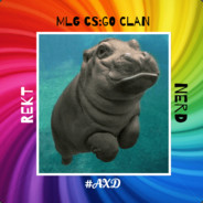 A Hippo XD