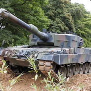 Endlich Leopard2 im Puff!