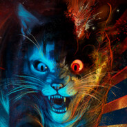 Warp Cat