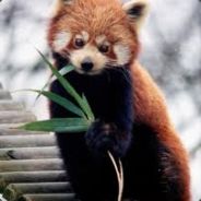 Ms. Red Panda ʕ·͡ᴥ·ʔ