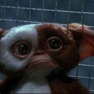 gizmo :(PMR):