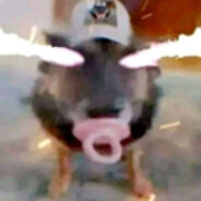 Avatar de mr.polin29