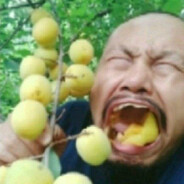 我脑子有病
