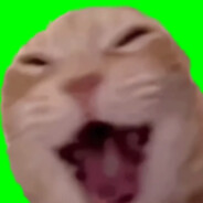 Jef