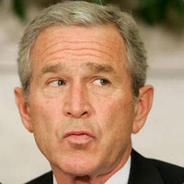DamnitBush