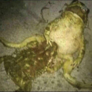 𝕮𝖆𝖘𝖆𝖓𝖔𝖛𝖆