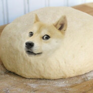Doughge