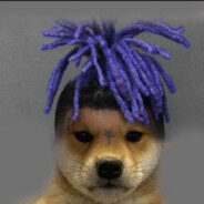 Señor P.u.g