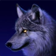 dev_vlad