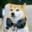 Group Avatar