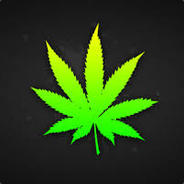 Q_bone