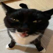 zoroodex