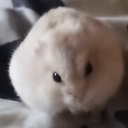 chizdurel