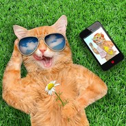 lron_cat77