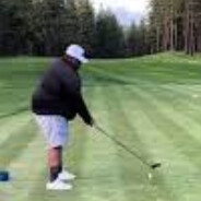 Wider Woods