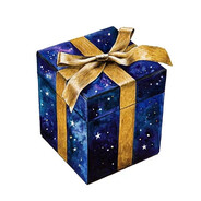 2025 gifts