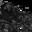 Group Avatar