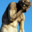 Group Avatar