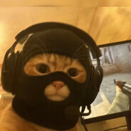 Kedi