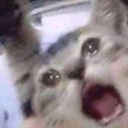 УЗНЫК ЛП