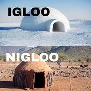 Nigloo