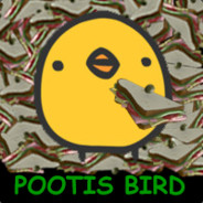 _Pootis_bird_( ͡° ᴥ͡° )