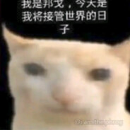 gato Chino吃我的鸡蛋