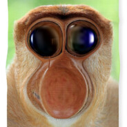 FEFERNUT