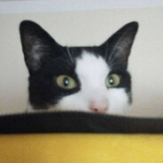 mystii