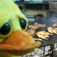 duck