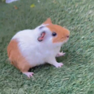 kiroe