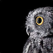 Silver Owl