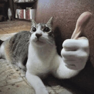 thumbs_up_cat